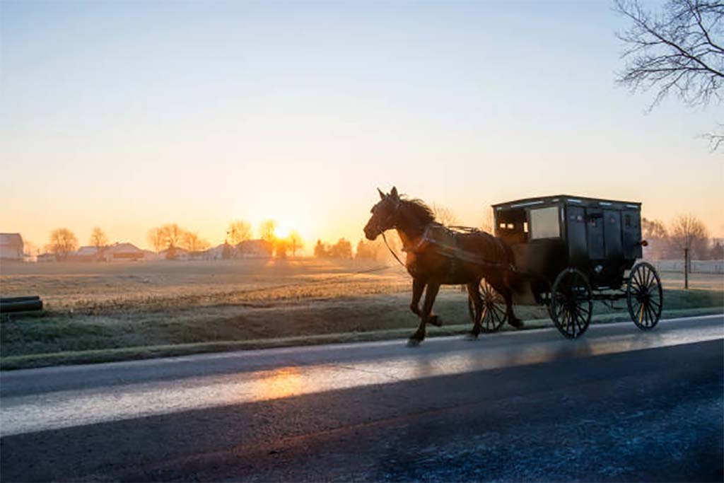 The Art of Storytelling: Vehicles in Fiction